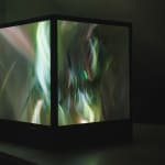 Maja Petric, Specimens of Time: Rebirth, 2025