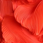 Zak, Kenny's Field, 2025