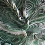 Zak, Kenny's Field, 2025