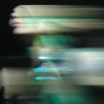 Maja Petric, Specimens of Time: Rebirth, 2025