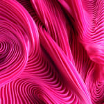 Zak, Kenny's Field, 2025