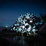 Philipp Frank, Nature Light Art, 2025