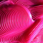 Zak, Kenny's Field, 2025