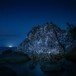 Philipp Frank, Nature Light Art, 2025
