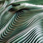 Zak, Kenny's Field, 2025