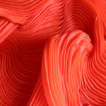 Zak, Kenny's Field, 2025