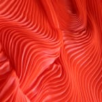 Zak, Kenny's Field, 2025