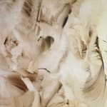 Camille Hannah, Excesses, 2017