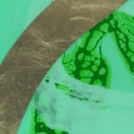 Second detail of Island Treasure