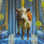 Detail of cow standing on bed.