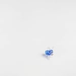 still from video shows a small blue and clear glass figurine of a four legged animal on white background