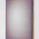 Emil Lukas, lost photograph #80 circa 1860 #1980, 2020