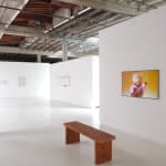installation view of video with other artworks visible