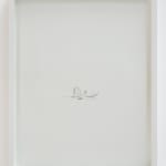 Crystal Liu, give us our dream: part one, 'narcissus', 2009