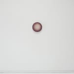 Emil Lukas, lost photograph #80 circa 1860 #1980, 2020