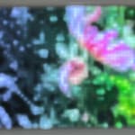 Jim Campbell, Motion Color Study #4, 2024