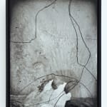 Emil Lukas, lost photograph #80 circa 1860 #1980, 2020