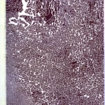 Bruce Conner, UNTITLED (BOOK OF FIVE FELT-TIP DRAWINGS), 1970