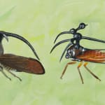 Close up of two different insects in Membracidae
