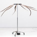 Still image of a very tall moving mechanical sculpture installation. The installation is placed in an open white walled gallery space and consists of a tall central metal pole which umbrellas into multiple feathers at its top. The feathers are in different stages of movement swinging around the circumference of the sculpture