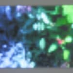 Jim Campbell, Motion Color Study #4, 2024