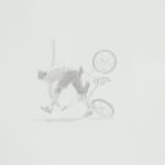 Crystal Liu, give us our dream: part one, 'narcissus', 2009