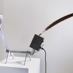 Side view of Creature II revealing more of its mechanical parts