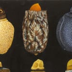 Detail of one light, medium, and dark egg cases in a row.