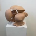 Tim Hawkinson, Thumbsucker study, 2015