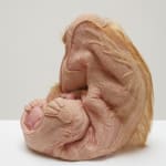 Patricia Piccinini, Safely Together, 2022