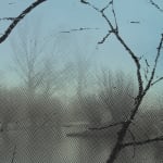 Detail depicting hazy trees and shore across the lake.