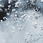 Judith Belzer, All That Is Solid #32, 2022