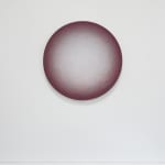 Emil Lukas, lost photograph #80 circa 1860 #1980, 2020