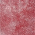 Against a dark red background, white non-uniform dots and clusters of bright red splotches of paint create a cloudy abstract pattern.
