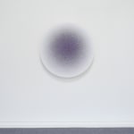 Emil Lukas, lost photograph #80 circa 1860 #1980, 2020