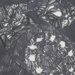 Bruce Conner, WART FEBRUARY 16, 1987, 1987