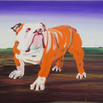 An orange and white bulldog stands on a brown surface against a vertical ombre blue to white background.