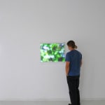 Jim Campbell, Wandering, 2024