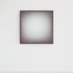 installation view of audible event of leaves #2147