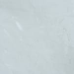 Emil Lukas, lost photograph #80 circa 1860 #1980, 2020