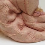 Patricia Piccinini, Safely Together, 2022