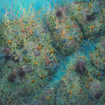 Painting of clusters of brittle sea stars and some sea urchins settles on a reef.