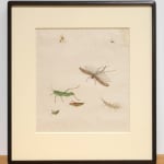 Installation view of watercolor of grasshoppers in black frame.