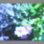 Jim Campbell, Motion Color Study #4, 2024