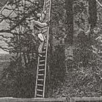 Detail view of someone climbing ladder.