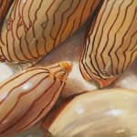 Isabella Kirkland, Back, from Taxa portfolio, 2006