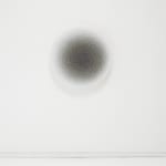 Emil Lukas, lost photograph #80 circa 1860 #1980, 2020