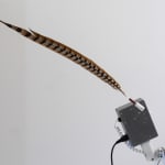 Detail of the feathered fail of Creature II