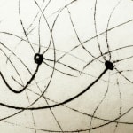 Harry Bertoia, Untitled, 1960s