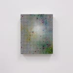 Emil Lukas, lost photograph #80 circa 1860 #1980, 2020